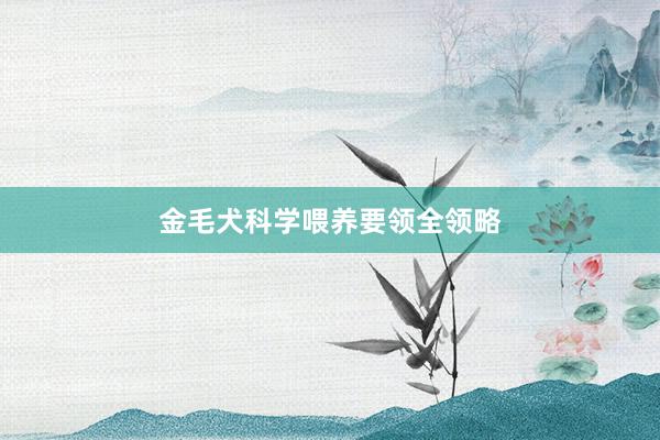 金毛犬科学喂养要领全领略