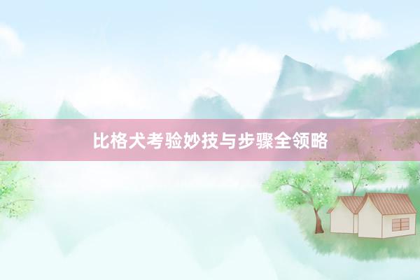 比格犬考验妙技与步骤全领略